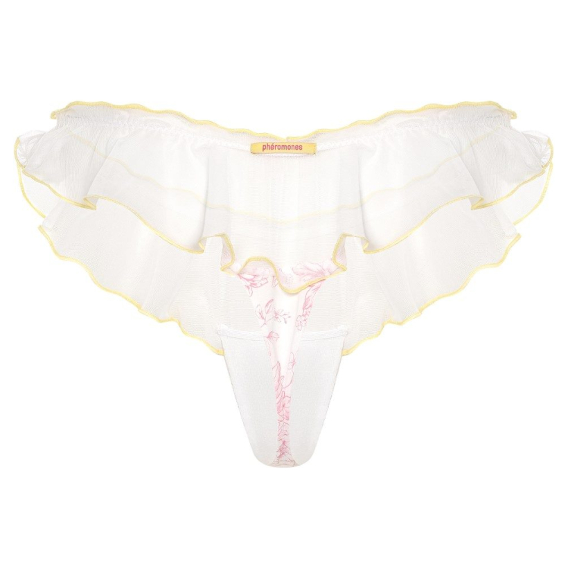 Panty Pheromones back