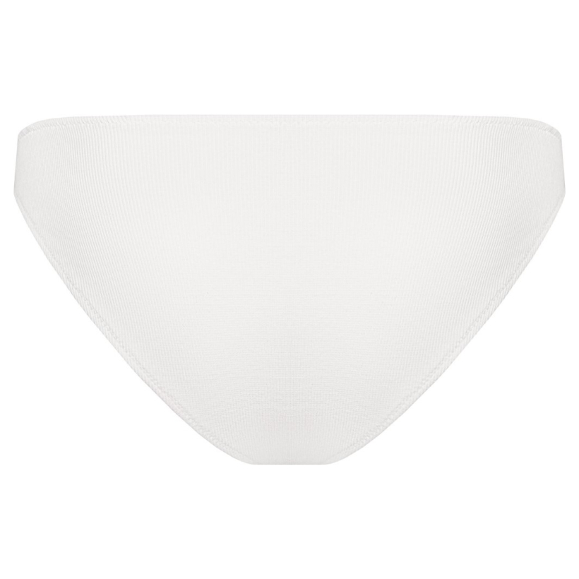 Cloud Fault brief back