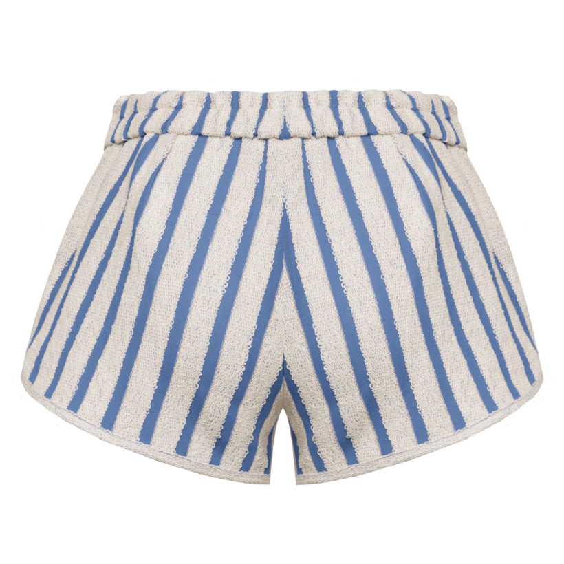 Navy Mini Shorts back